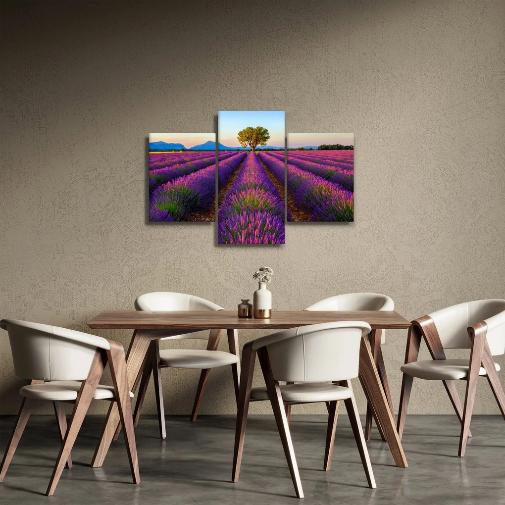 Obraz - Levanduľové pole (90x60 cm)