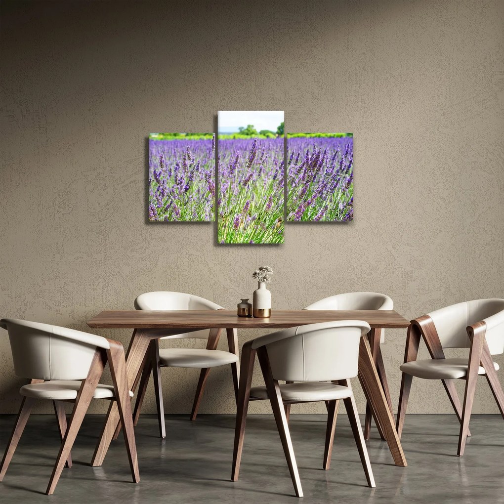 Obraz poľa s levanduľou (90x60 cm)