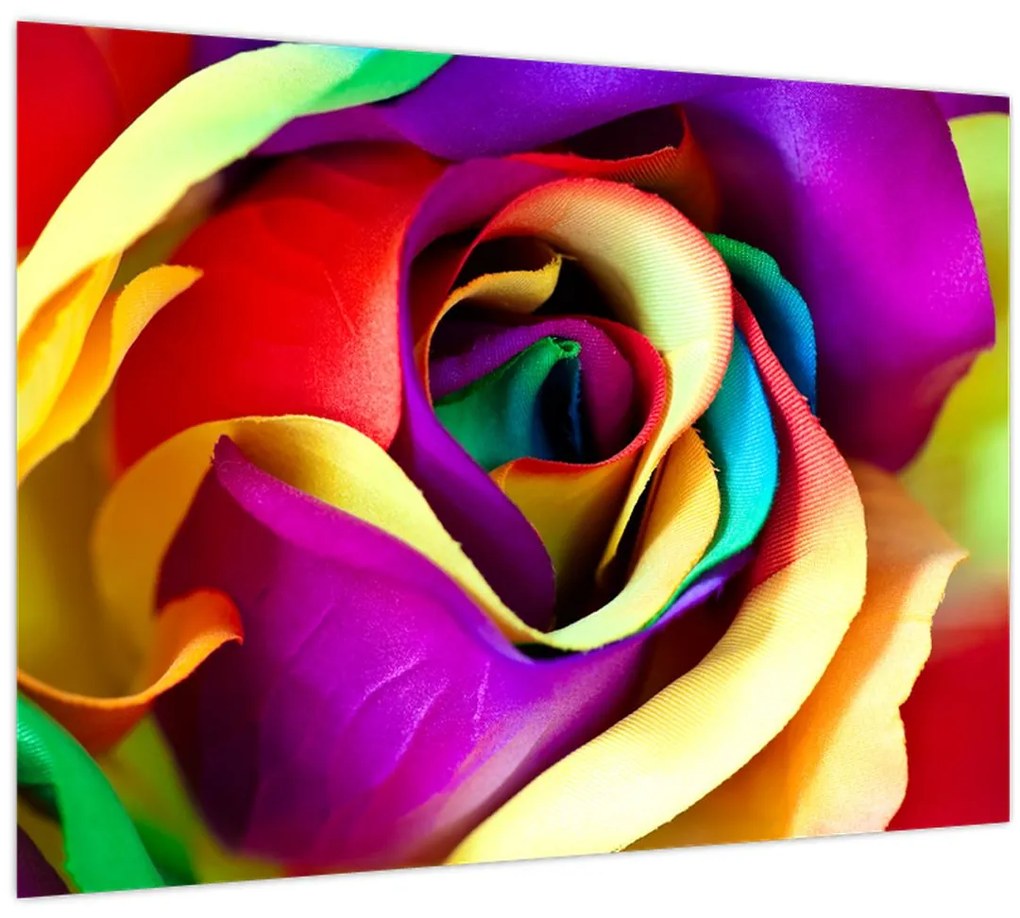 Sklenený obraz - Farebná ruža (70x50 cm)