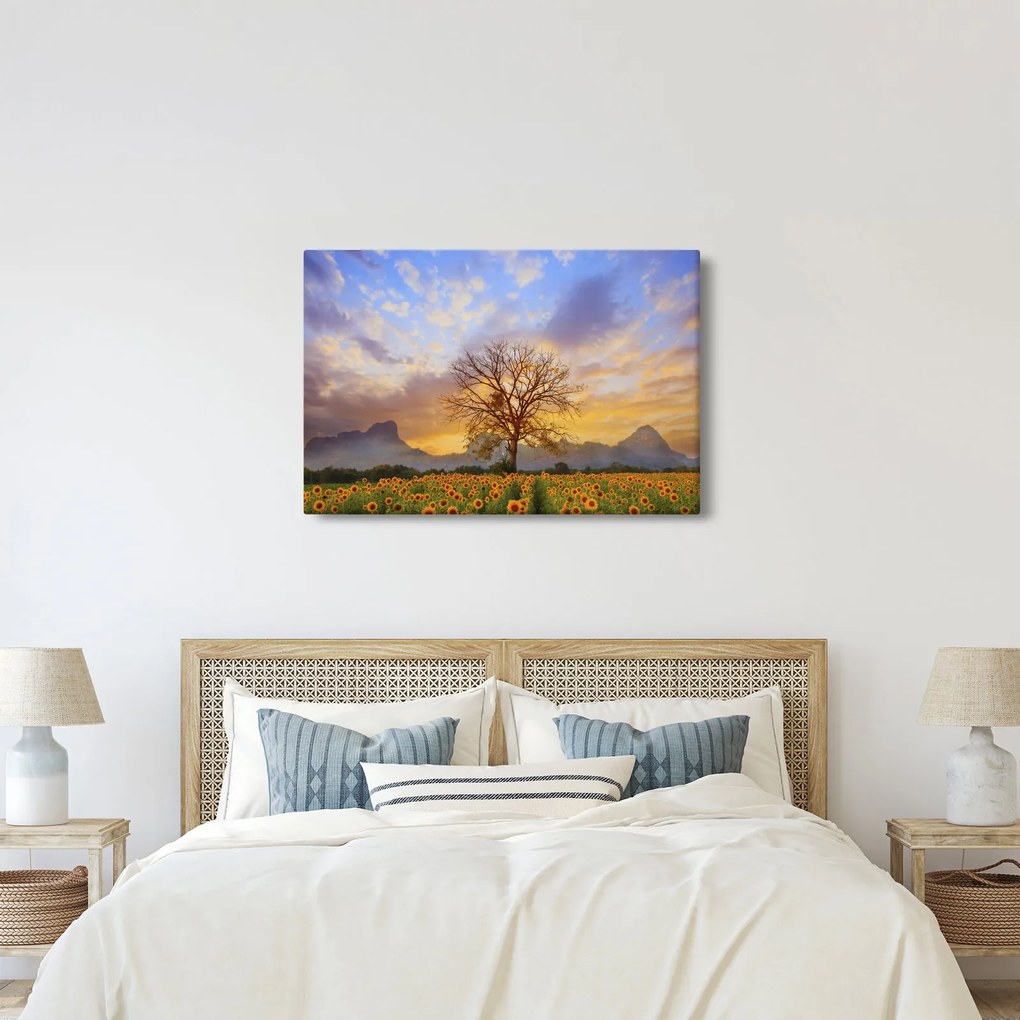 Obraz - Krajina so slnečnicami (90x60 cm)