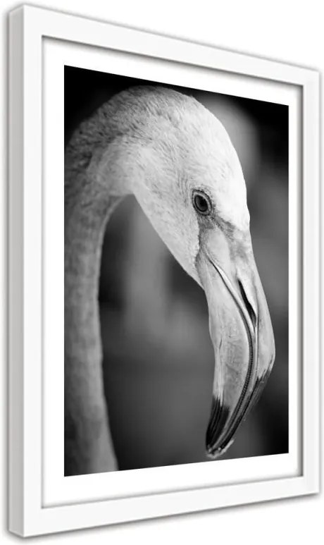 CARO Obraz v ráme - Flamingo In Black And White Biela 30x40 cm