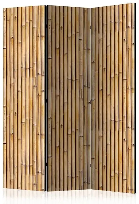 Paraván - Amazonian Wall [Room Dividers] Veľkosť: 135x172, Verzia: Jednostranný
