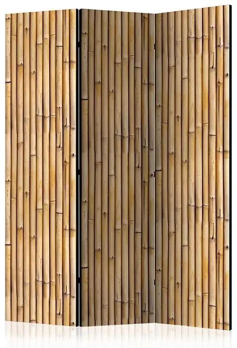 Paraván - Amazonian Wall [Room Dividers] Veľkosť: 135x172, Verzia: Obojstranný