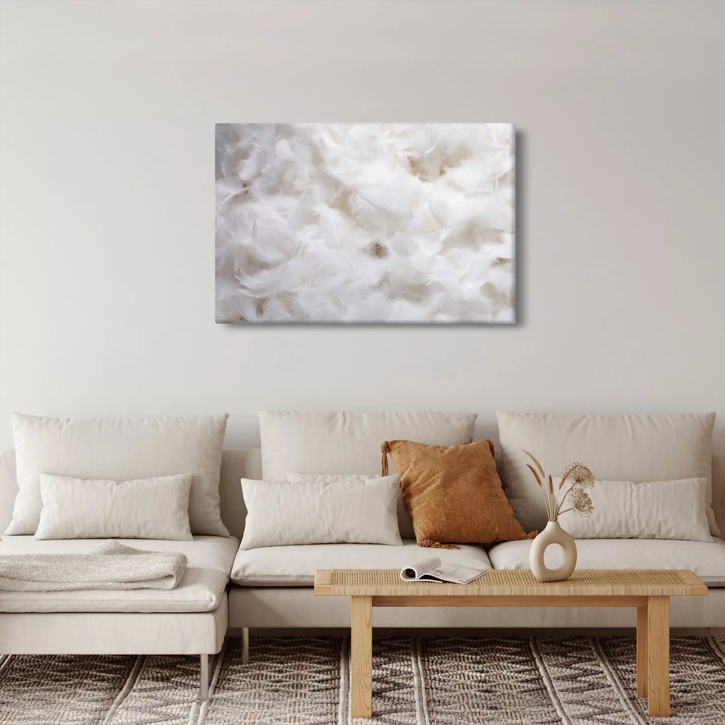 Obraz - Biele perie (90x60 cm)