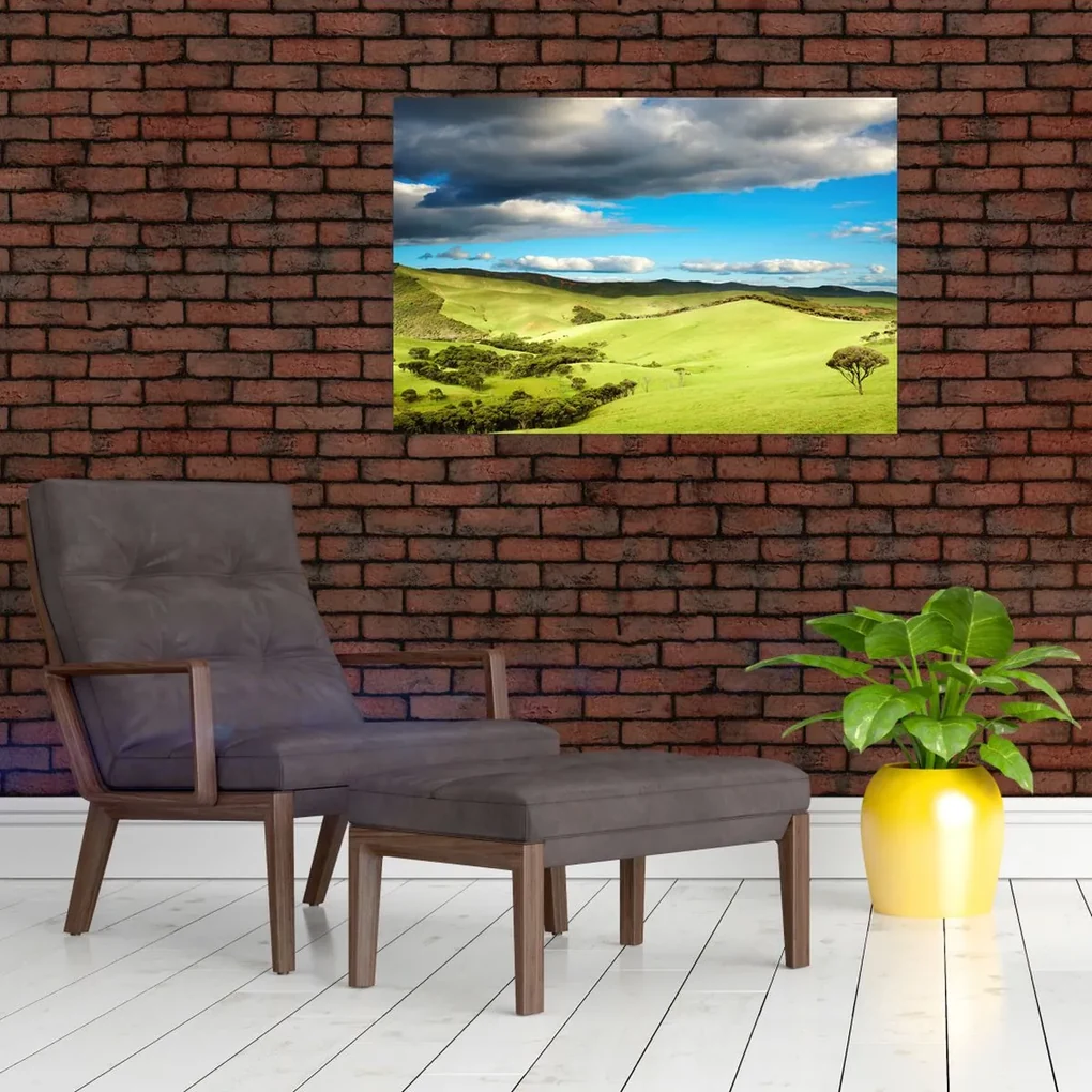 Obraz - Zelená krajina s pahorkami (90x60 cm)