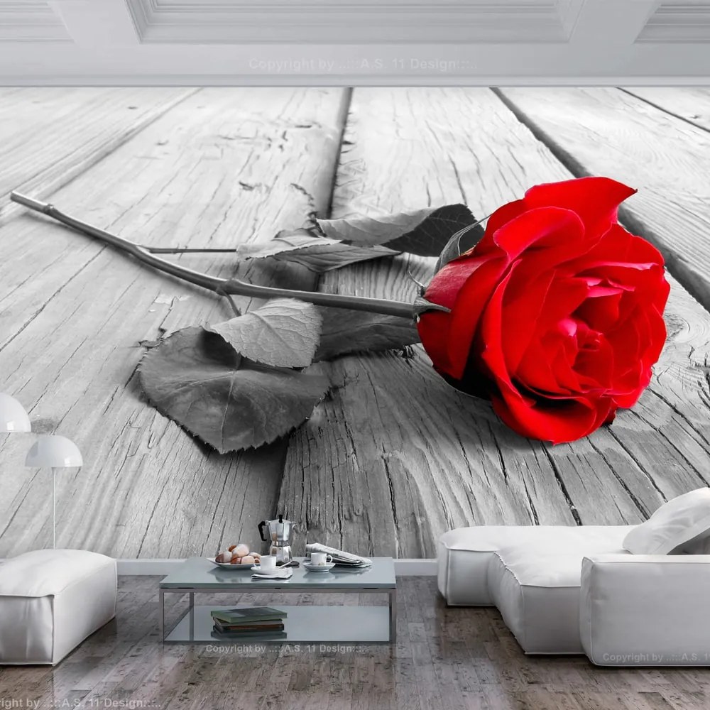 Fototapeta Opustená ruža- Abandoned Rose