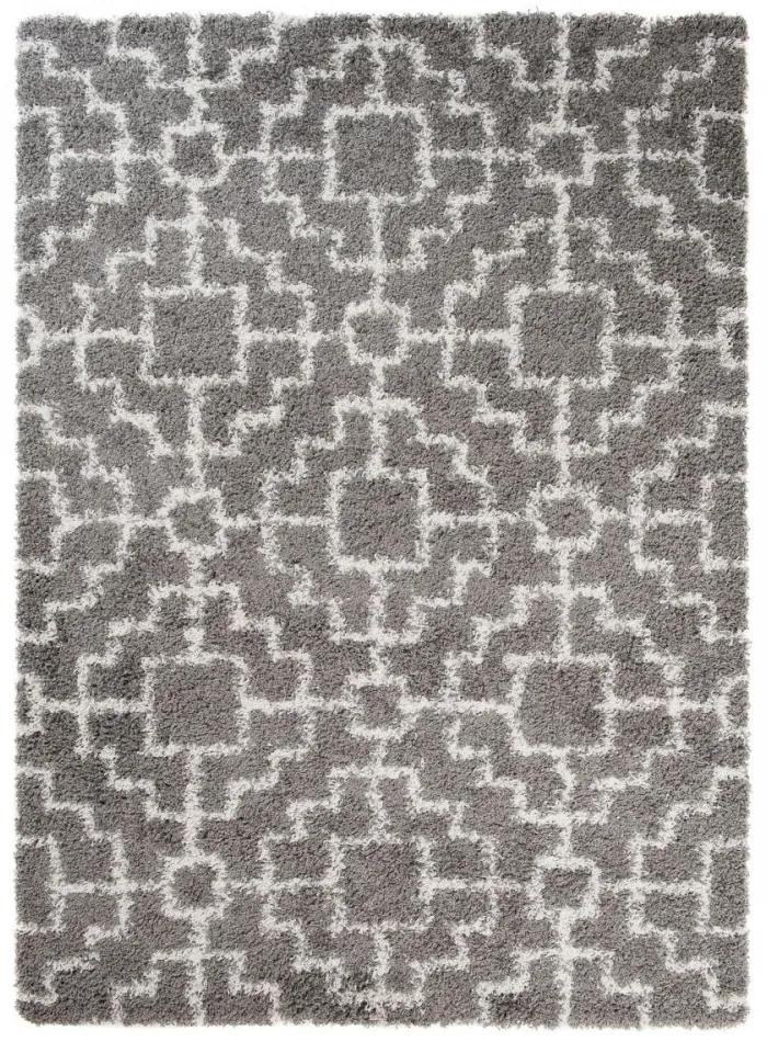 Kusový koberec Shaggy Aniff šedý, Velikosti 80x150cm
