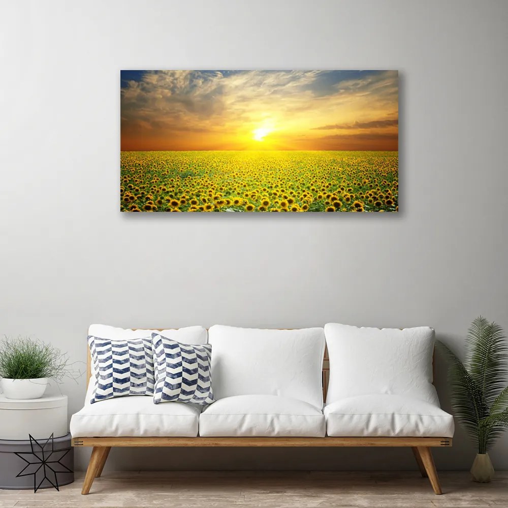 Obraz Canvas Slnko lúka slnečnica 125x50 cm