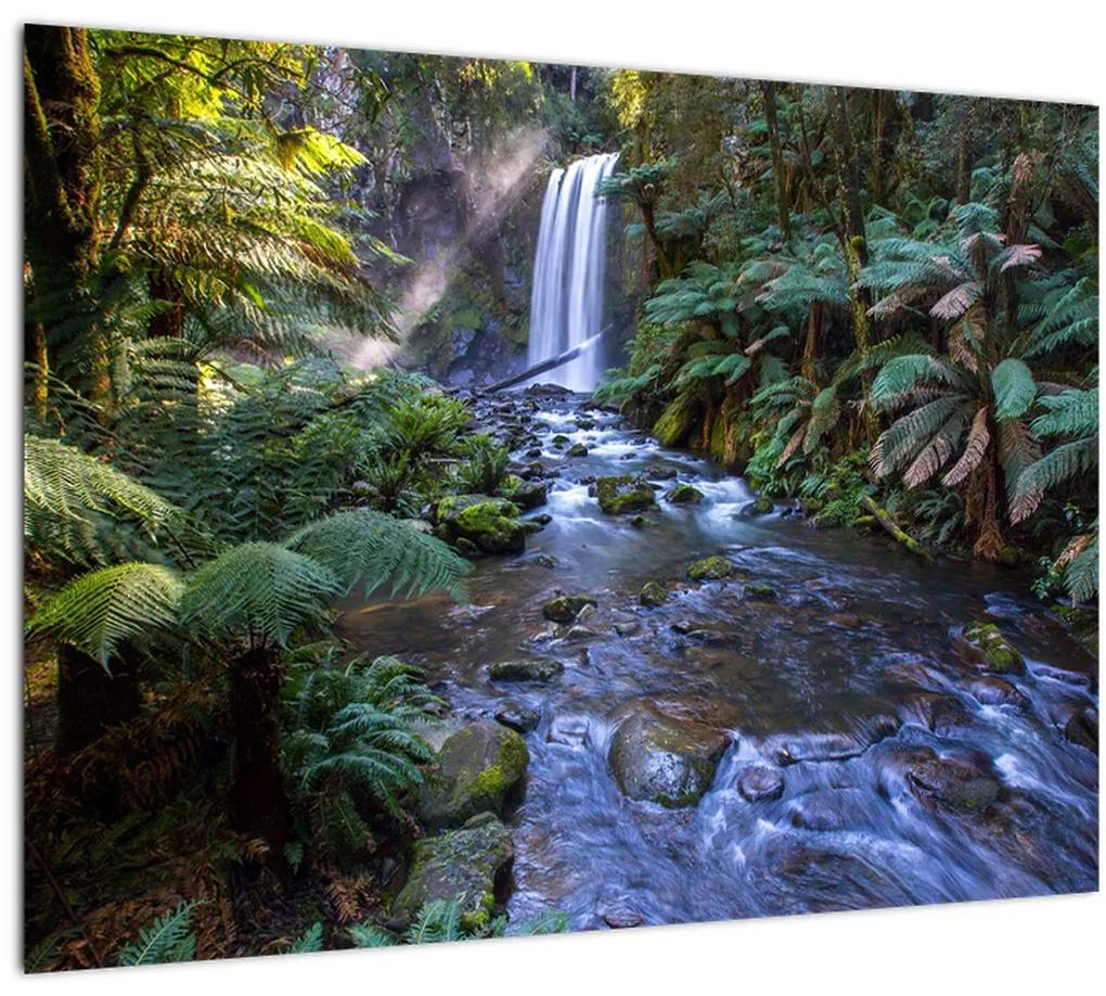 Sklenený obraz australského dažďového lesa (70x50 cm)