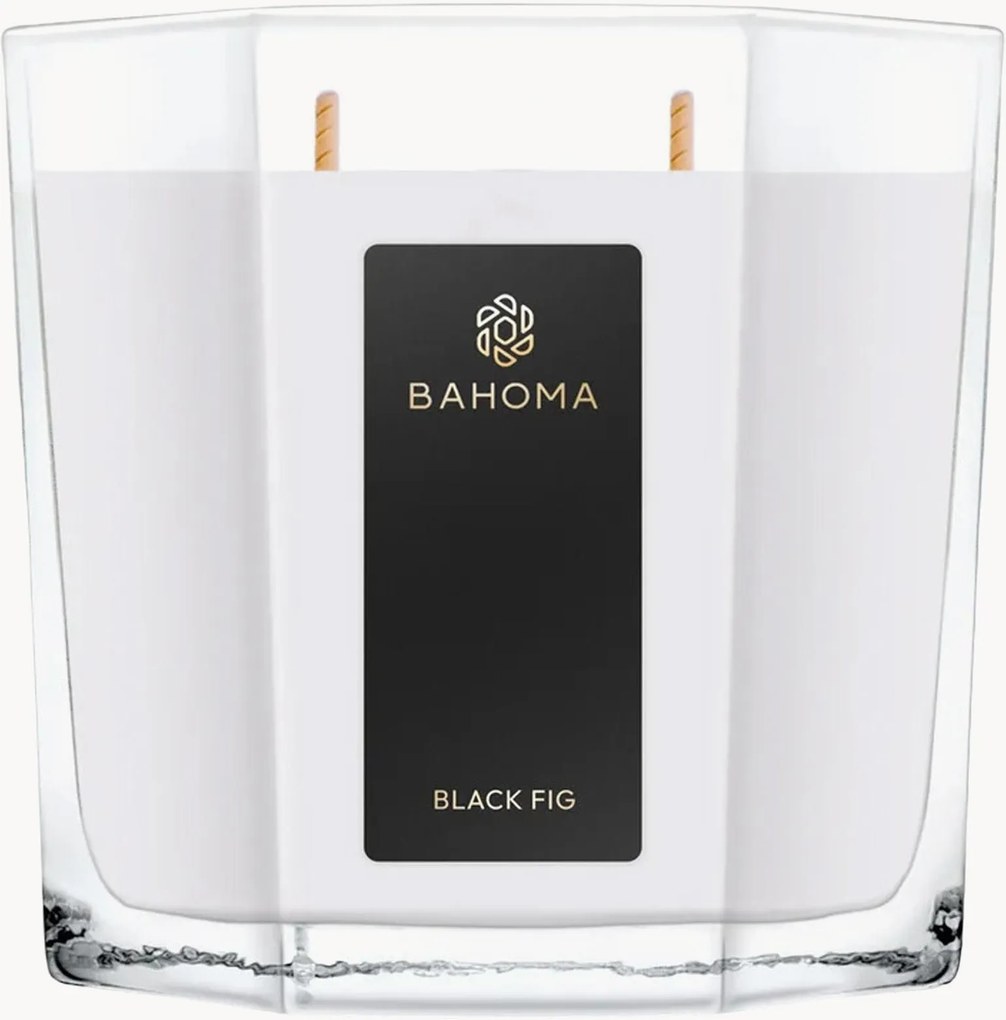 Vonná sviečka Black Fig (Jasmine, Fig, Sandalwood)