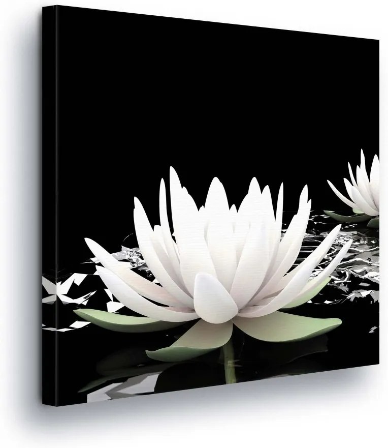 GLIX Obraz na plátne - Black and White Water Lily 80x80 cm