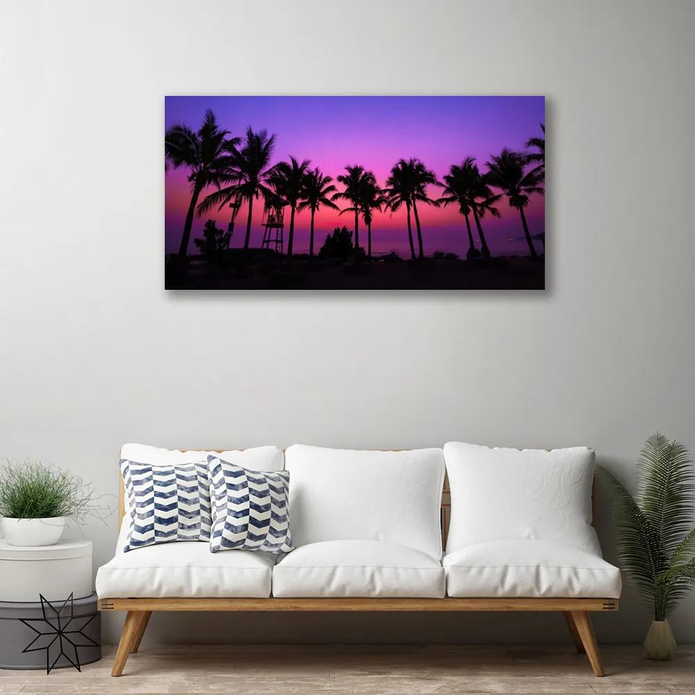 Obraz na plátne Palmy stromy príroda 100x50 cm