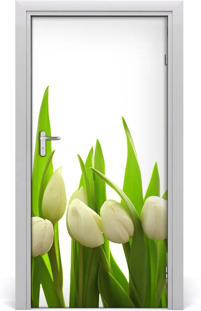 Fototapeta na dvere  Biele tulipány