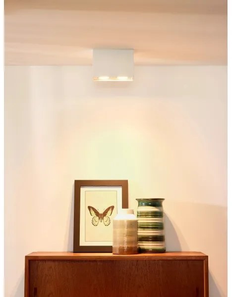 Lucide 22953/02/31 - Bodové svietidlo TUBE 2xGU10/50W/230V biela