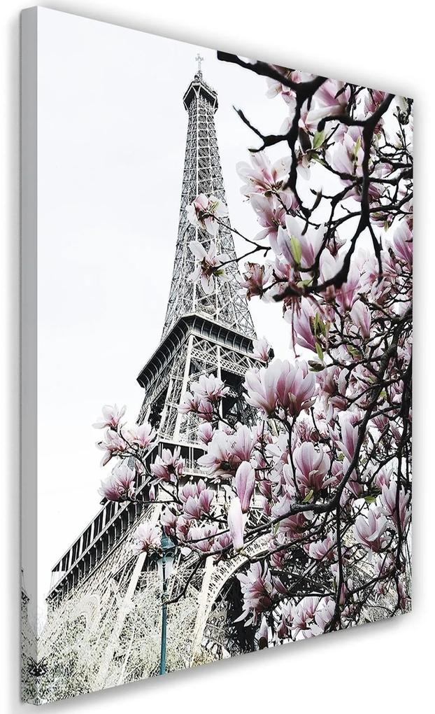 Gario Obraz na plátne Eiffelova veža a magnólie - Dmitry Belov Rozmery: 40 x 60 cm