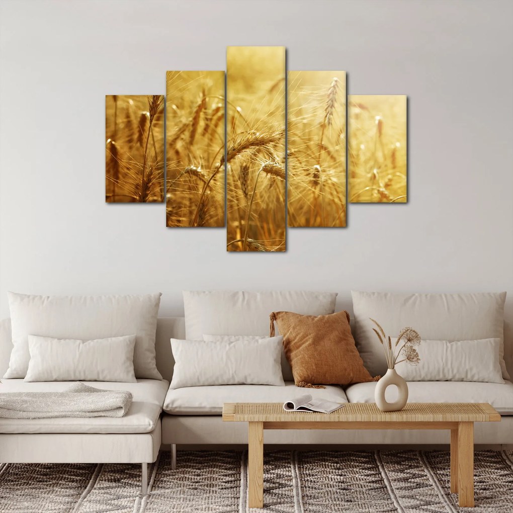 Obraz - Klasy obilia (150x105 cm)