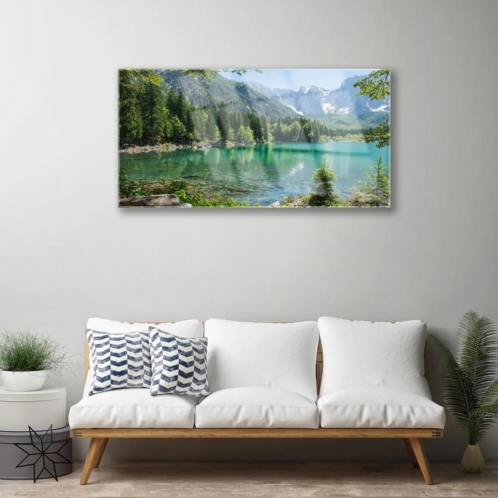 Skleneny obraz Hory jazero les príroda 140x70 cm
