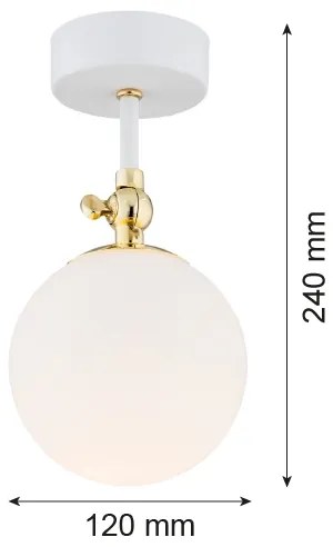 Argon 4002 - Kúpeľňové prisadené stropné svietidlo LATINA 1xE14/7W/230V IP44 biela/zlatá