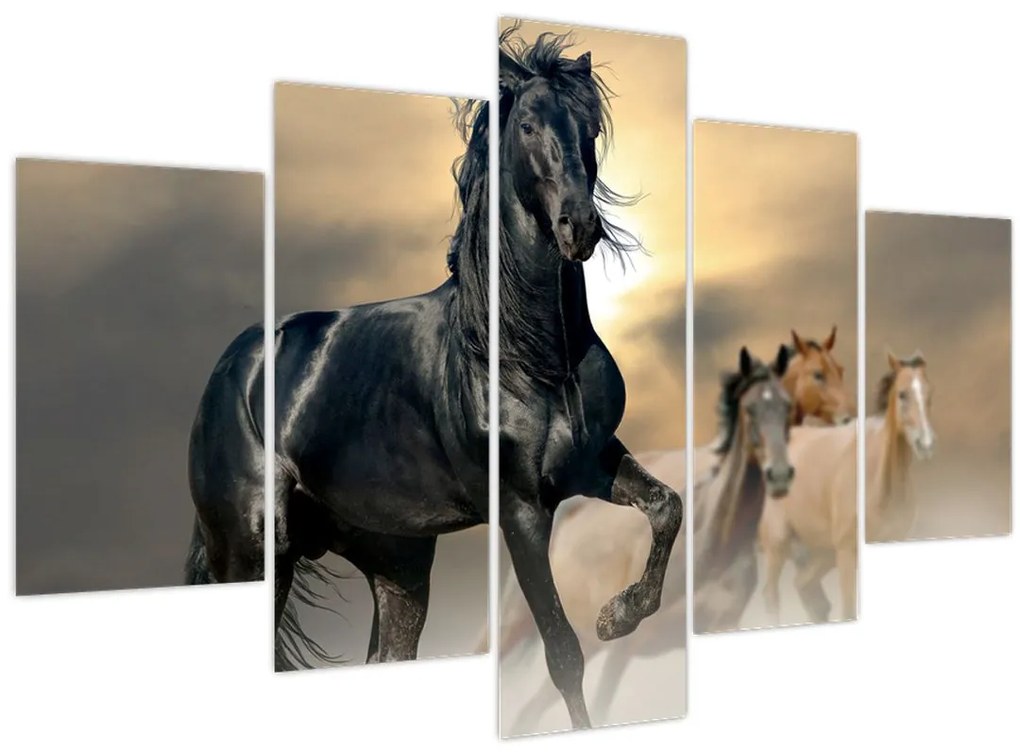 Obraz - Kone (150x105 cm)