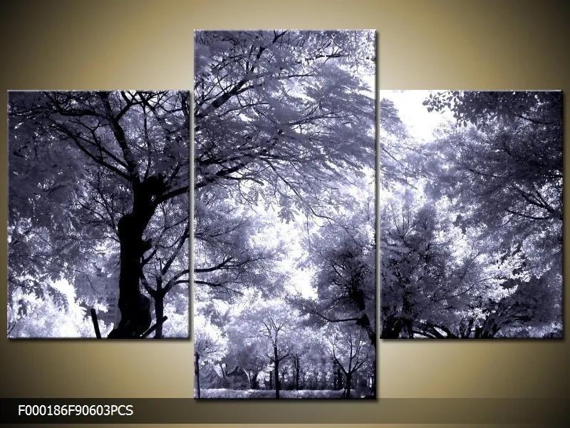 Obraz na plátne Stromy čiernobiele, 3 dielne 90x60cm 60,8 €