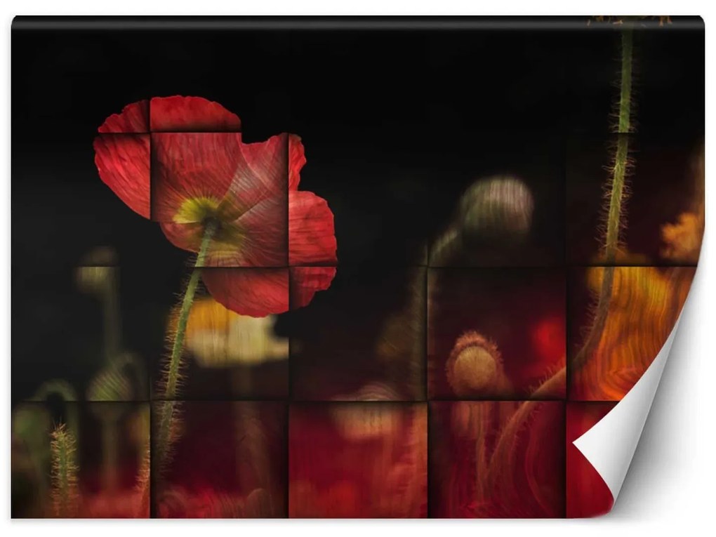 Gario Fototapeta Červený makový kvet Materiál: Vliesová, Rozmery: 350 x 245 cm