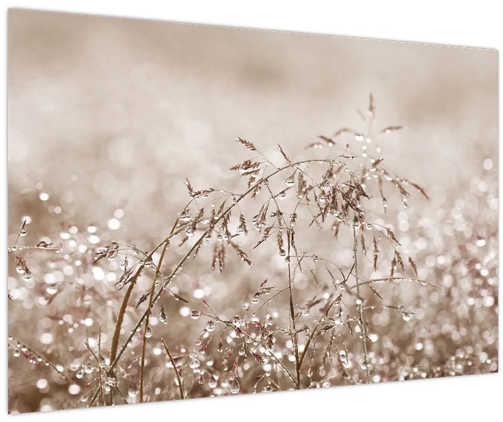 Obraz - Lúka v hnedých tónoch (90x60 cm)