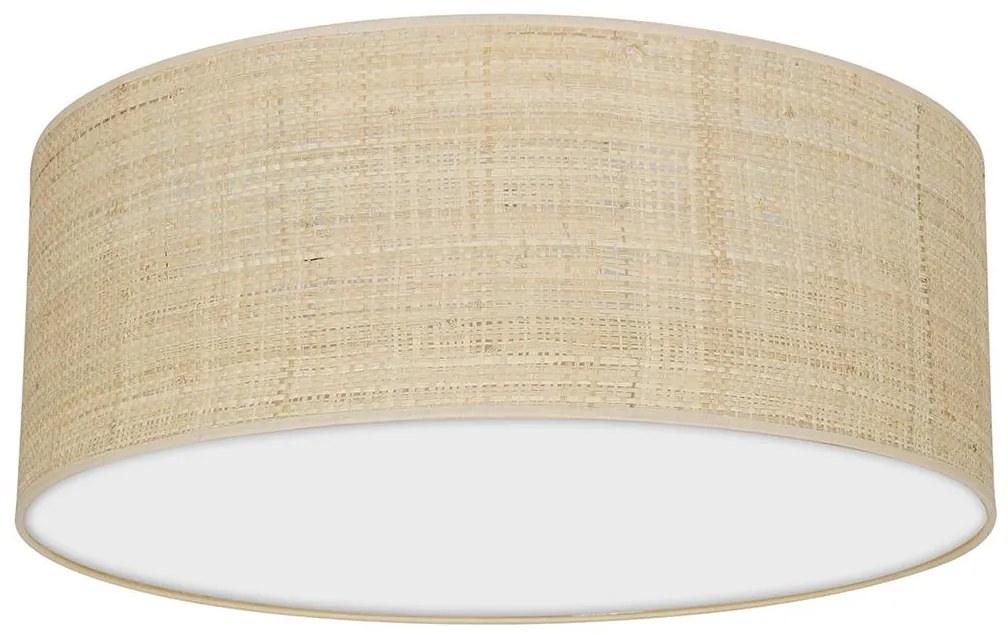 Stropné svietidlo MARSHALL 2xE27/60W/230V