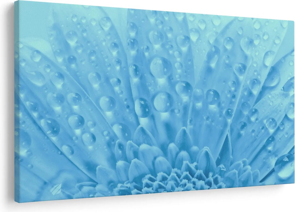 Obraz - Makro záber kvetu (90x60 cm)