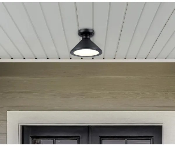 Westinghouse 61238 - Vonkajšie stropné svietidlo WALTER 1xE27/60W/230V IP44