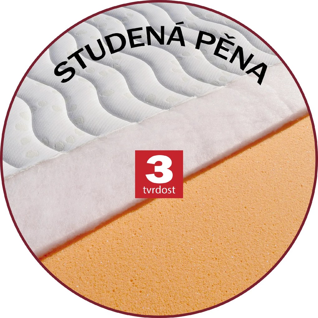 Drevočal Krycí matrac Ružena Veľkosť: 200 x 100 x 5, Poťah: Lyocell