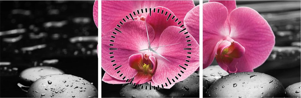 Obraz - Ružové orchidey (s hodinami) (90x30 cm)