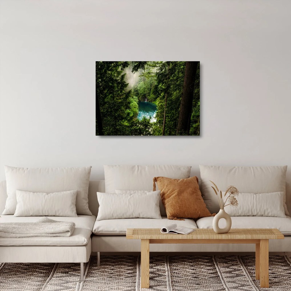Sklenený obraz - Priezor medzi stromami (70x50 cm)