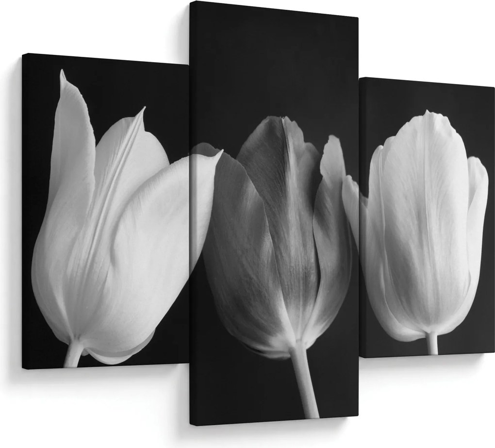 Obraz - Čiernobiele kvety tulipánov (90x60 cm)