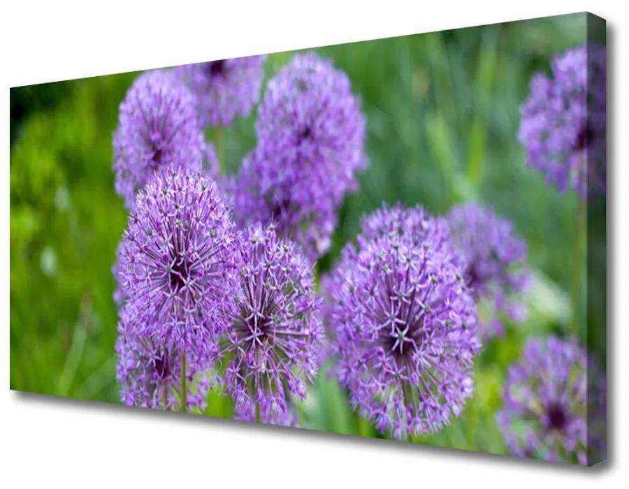 Obraz Canvas Fialové kvety lúka 120x60 cm