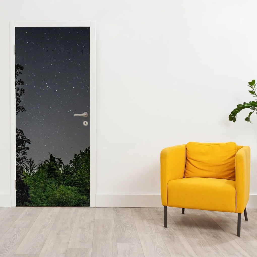 Fototapeta na dvere - Nočná obloha (95x205cm)