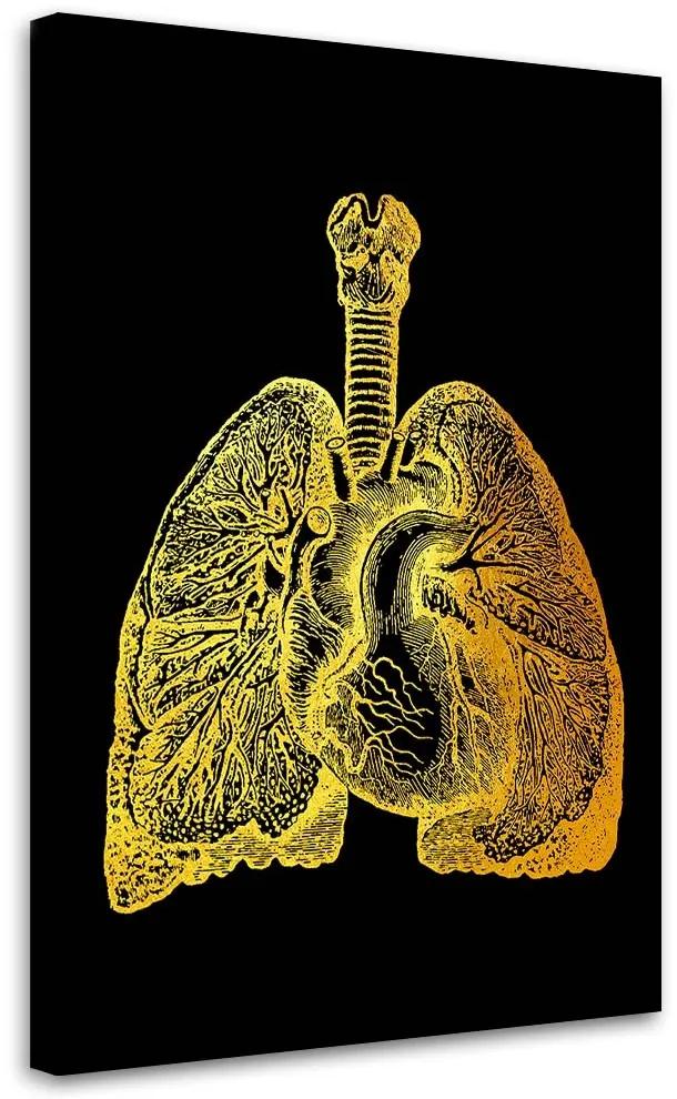 Gario Obraz na plátne Zlatá anatómia, Pľúca a srdce - Gab Fernando Rozmery: 40 x 60 cm
