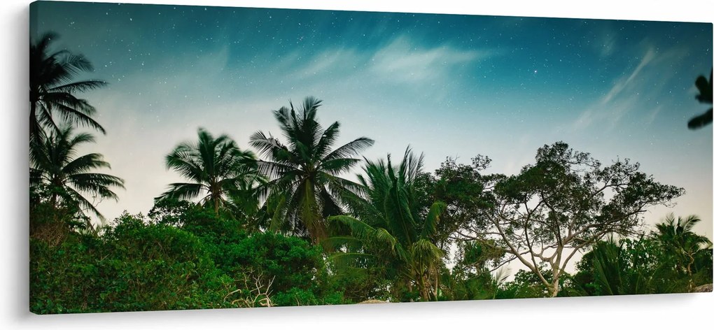 Obraz - palmy (120x50 cm)