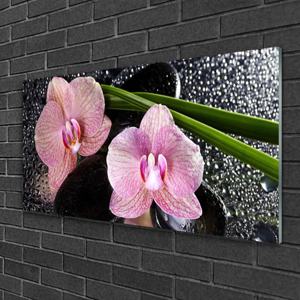 Skleneny obraz Kvety orchidea kamene zen 140x70 cm