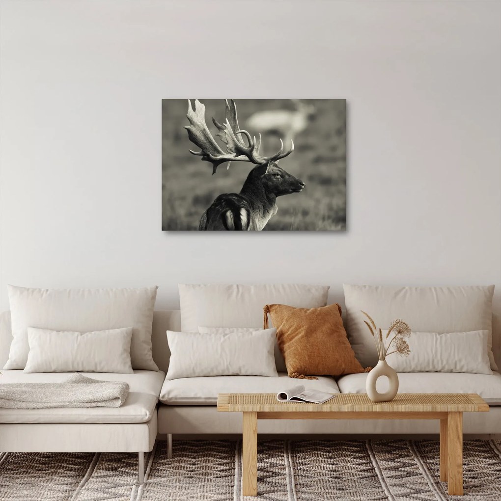Obraz - Jeleň (70x50 cm)