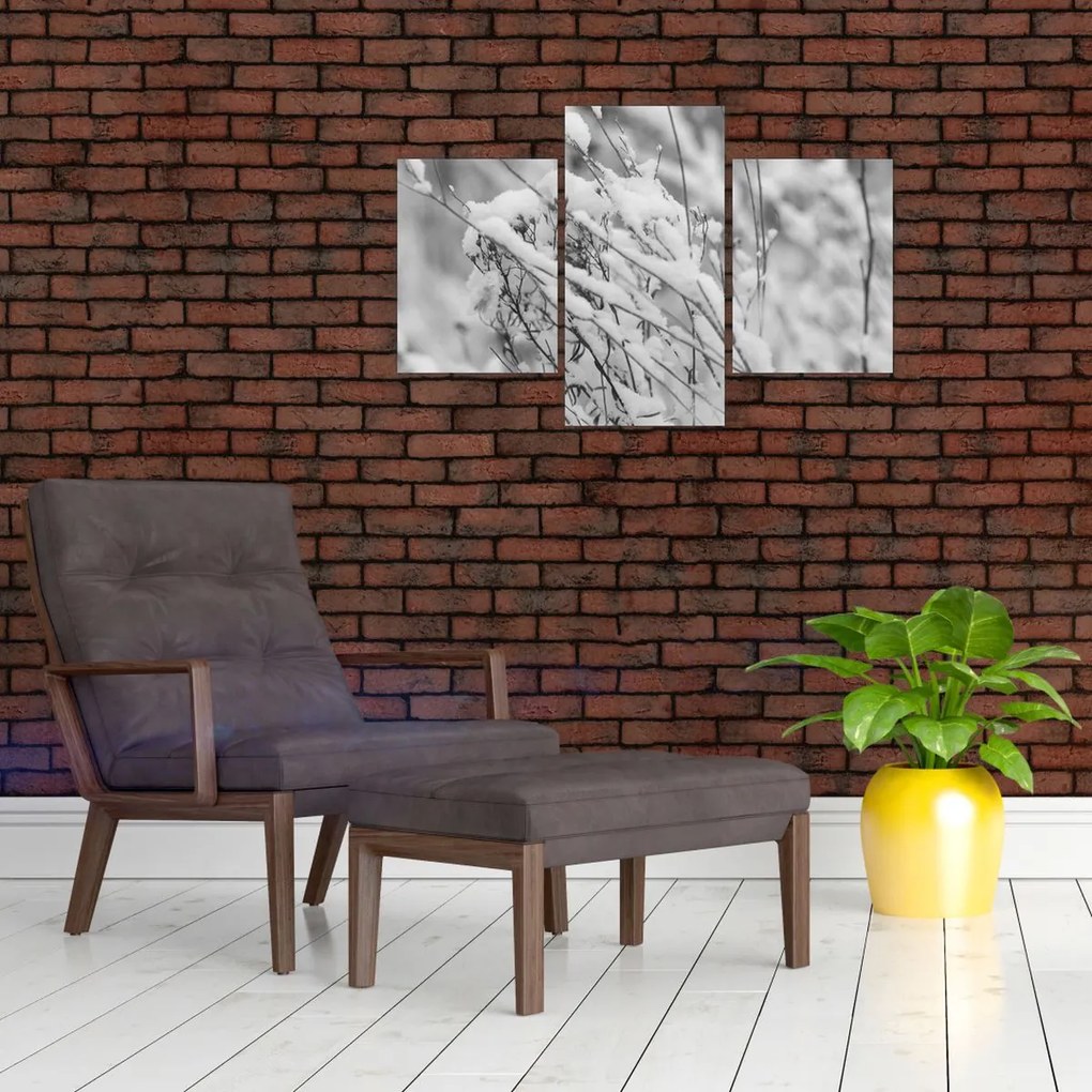 Obraz - Zasnežené vetvy (90x60 cm)