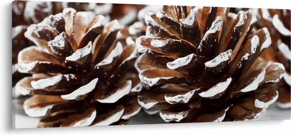 Obraz - Šišky (120x50 cm)