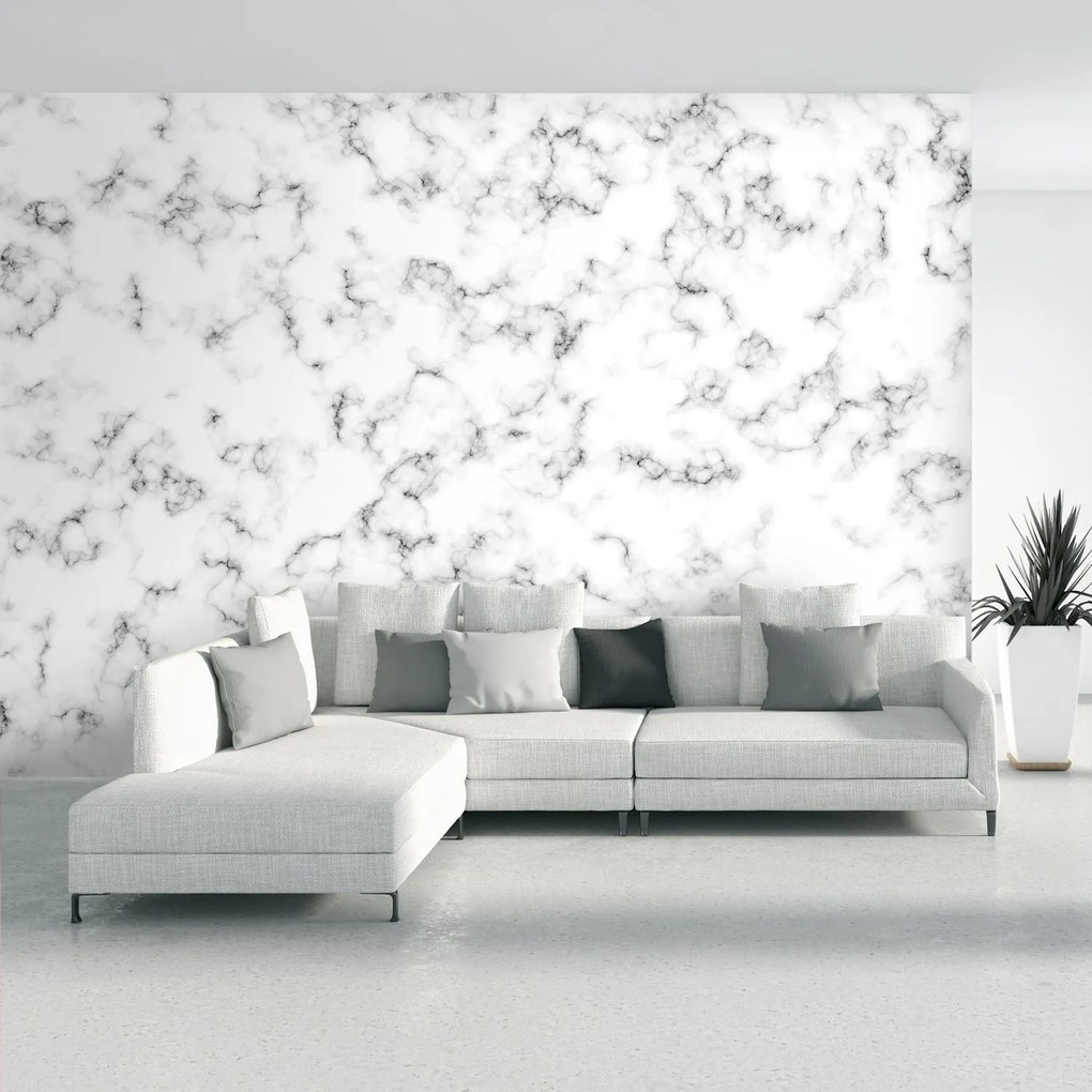 Fototapeta - Biely mramor (147x102 cm)