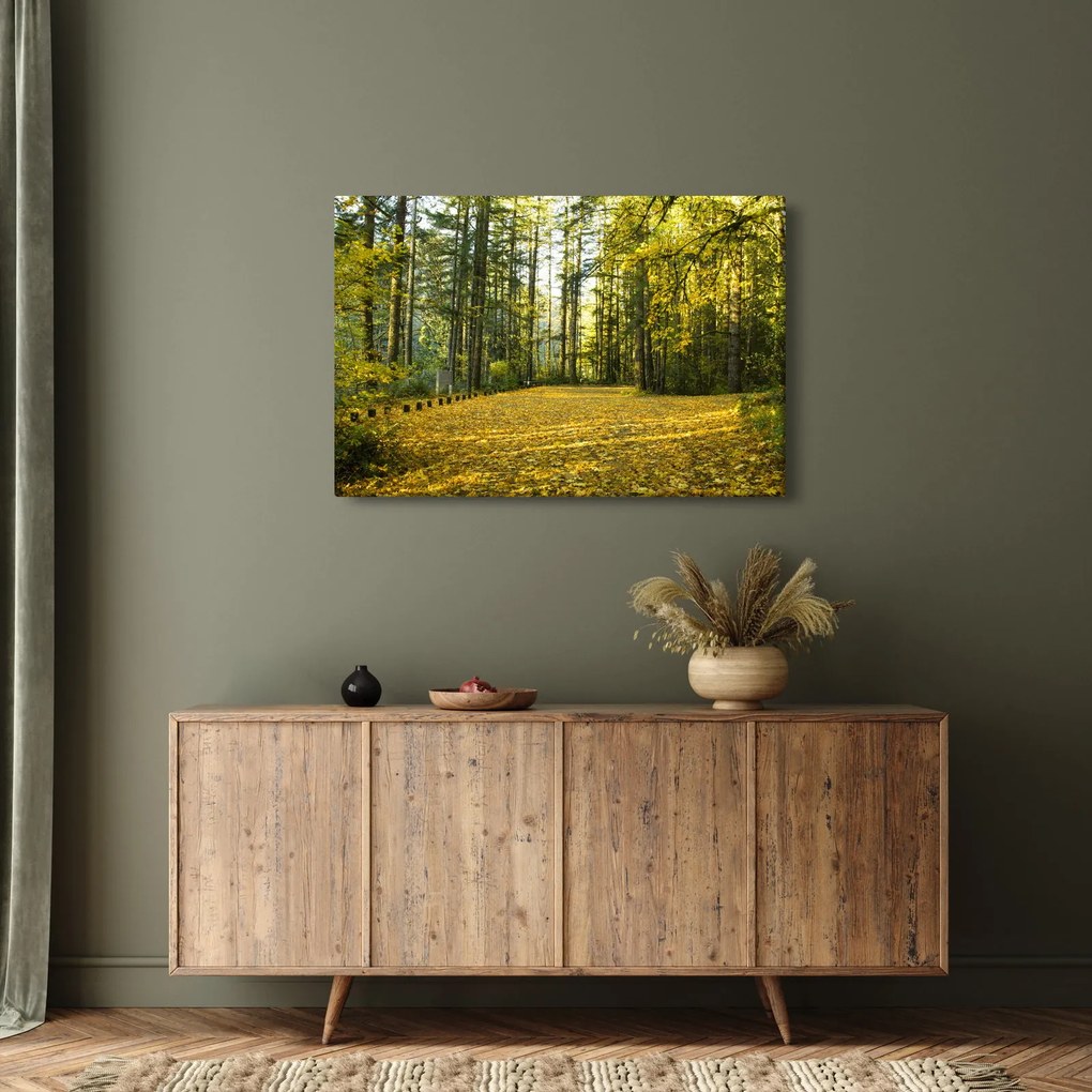 Obraz - les v jeseni (90x60 cm)