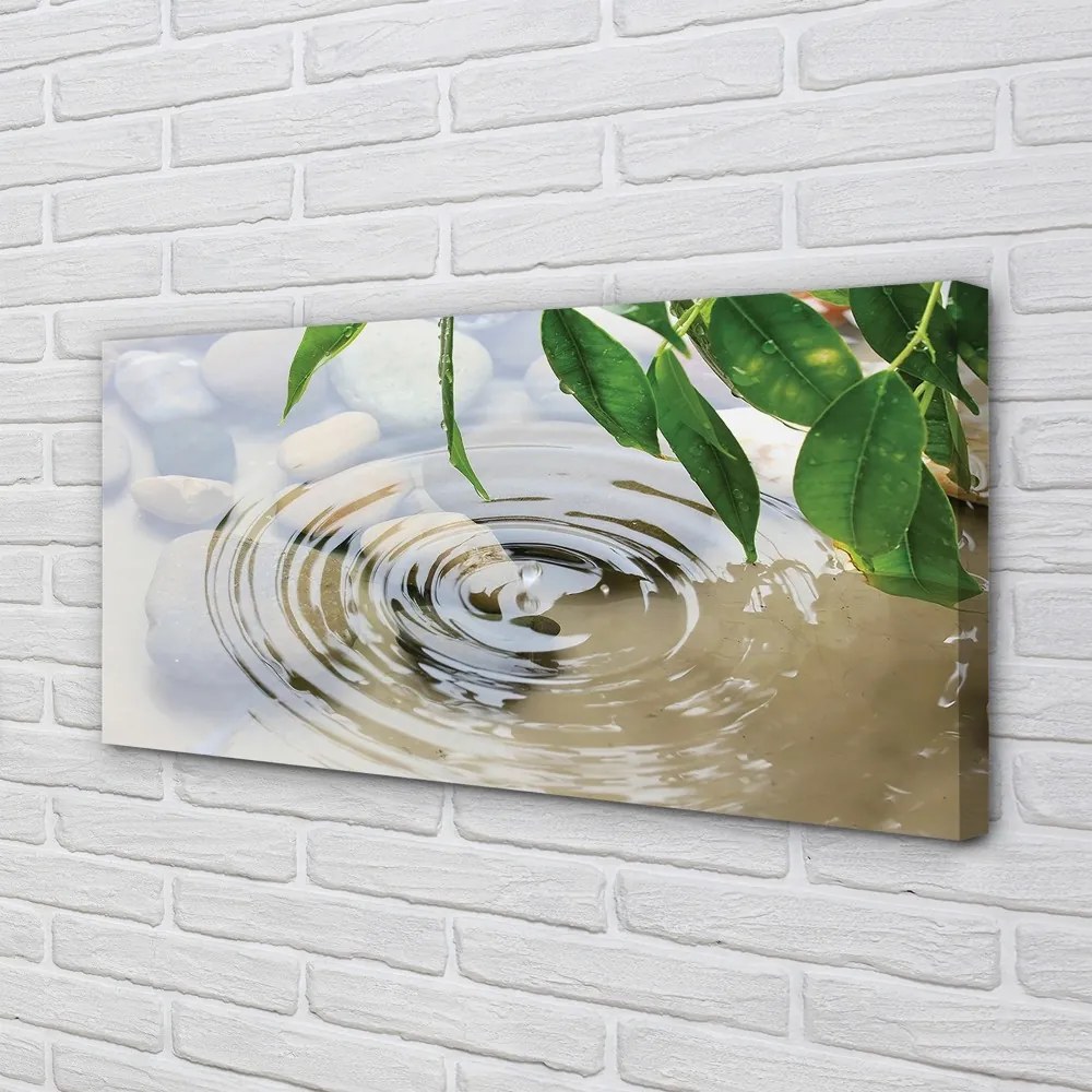 Obraz canvas pokles striekajúcej vode 125x50 cm