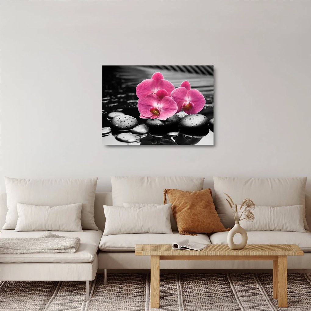 Sklenený obraz - Ružové orchidey (70x50 cm)
