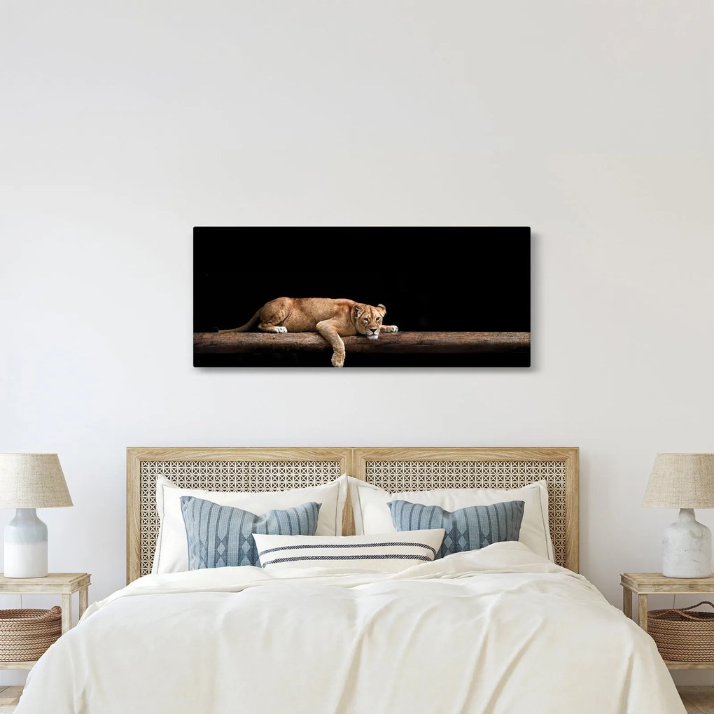 Obraz - Levice (120x50 cm)