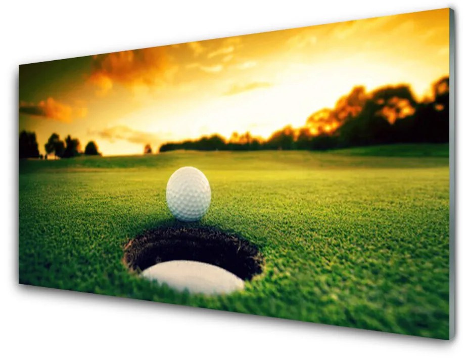 Nástenný panel  Golfový loptička tráva príroda 125x50 cm