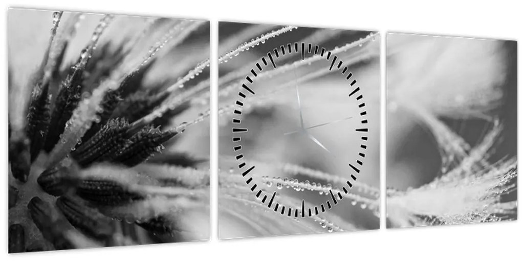 Obraz - Makro, čiernobiela (s hodinami) (90x30 cm)