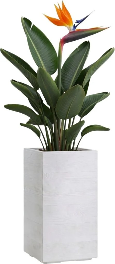 Sada 2 ks květináčů BETONIQUE 30x30/30x60 cm - výber z 4 prevedení