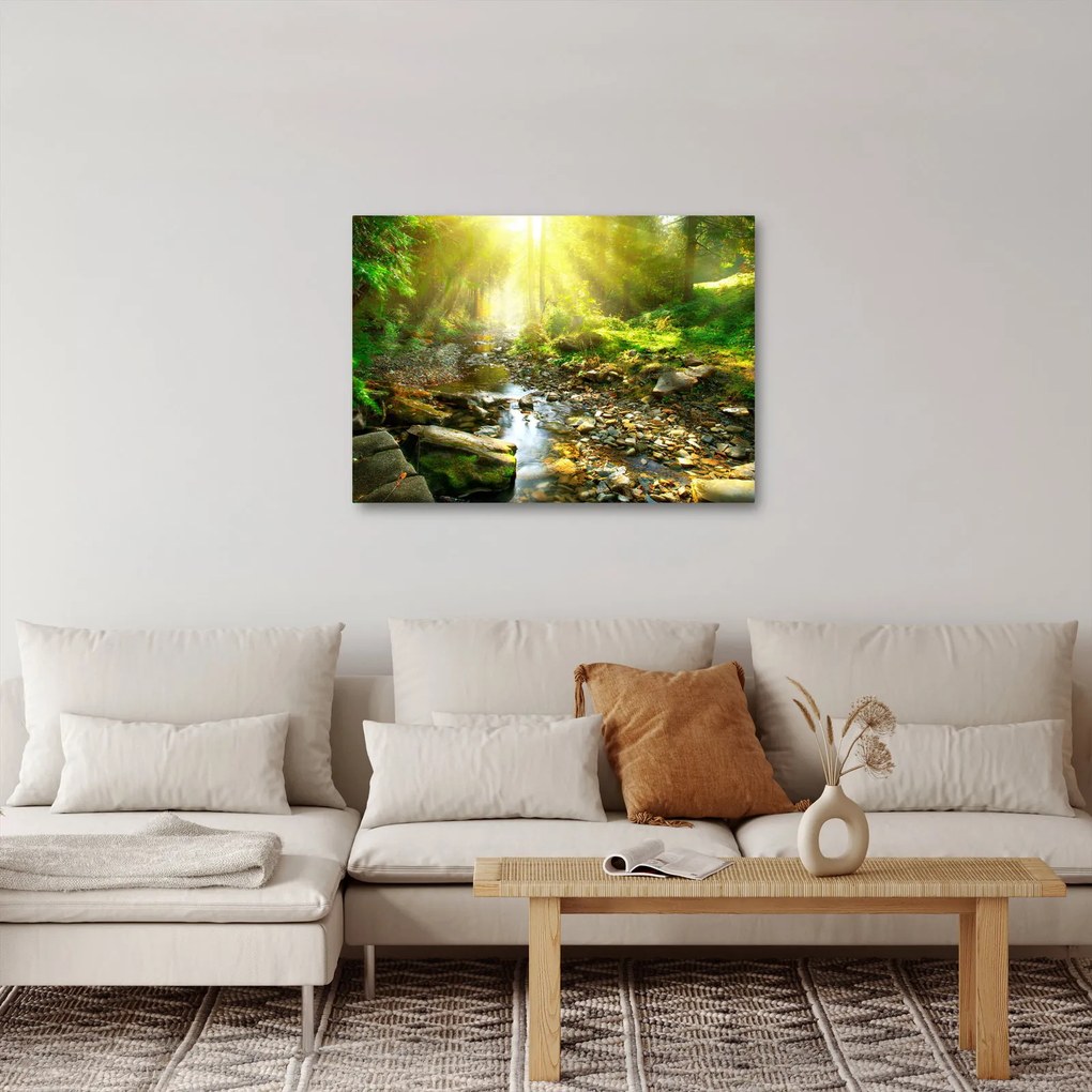 Obraz rieky v zelenom lese (70x50 cm)